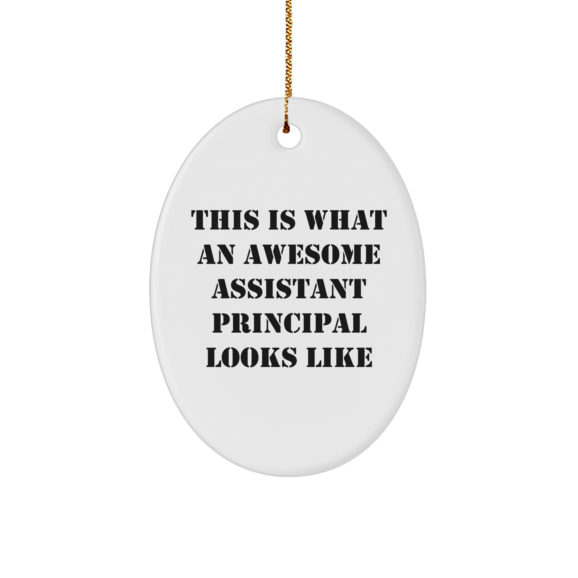 Funny Assistant Principal Gifts Oval Ornament This Is What An Awesome Assistant Principal Looks Like from Family - Image 1