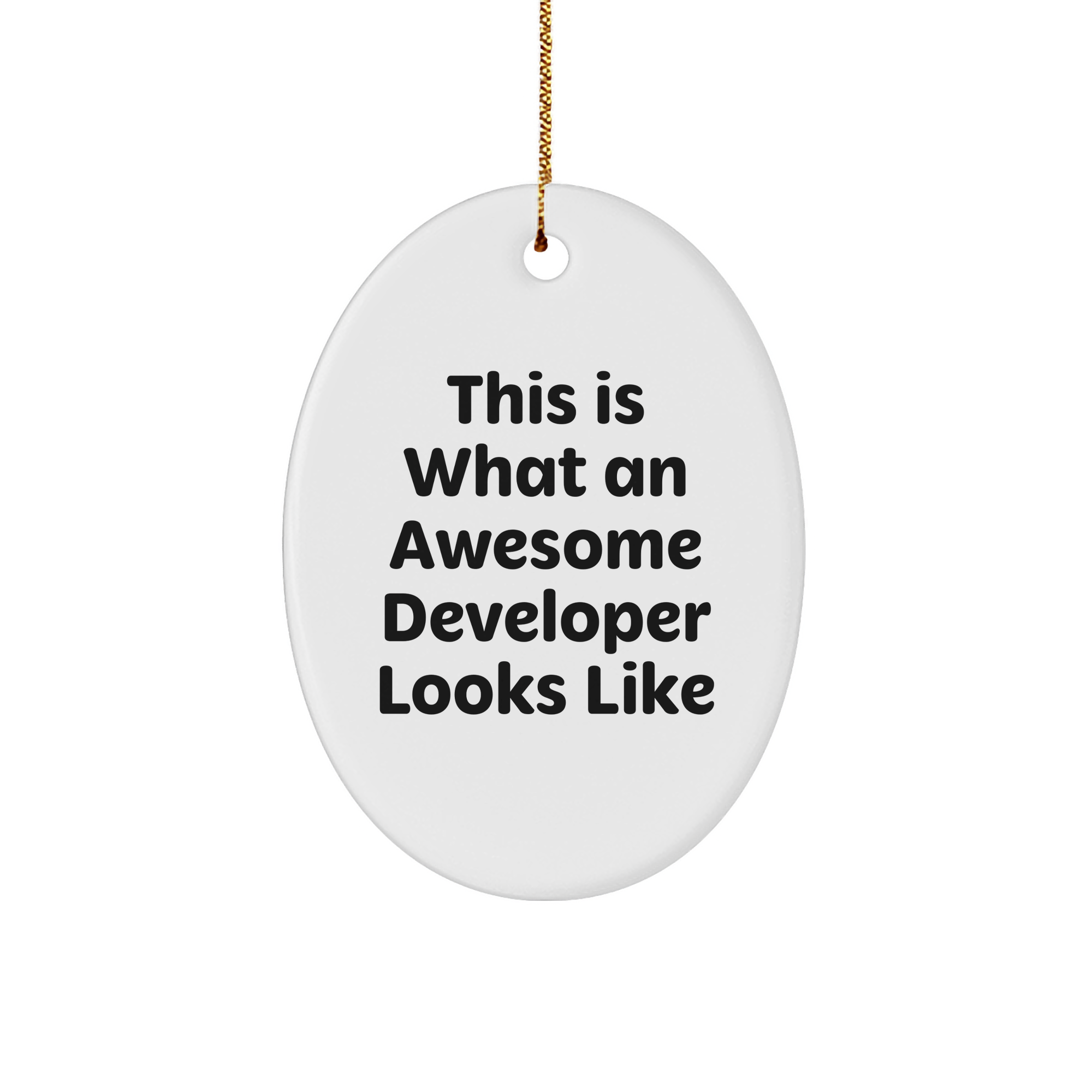 Funny Developer Gifts from Friends for Awesome Developers This Is What An Awesome Developer Looks Like Oval Ornament Christmas Unique Gifts - Image 1