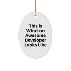 Funny Developer Gifts from Friends for Awesome Developers This Is What An Awesome Developer Looks Like Oval Ornament Christmas Unique Gifts - Image 1