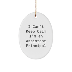 Funny Assistant Principal Gifts - 'I Can't Keep Calm I'm An Assistant Principal' Oval Ornament for Christmas, Gifts from Family to Assistant Principal - Image 1