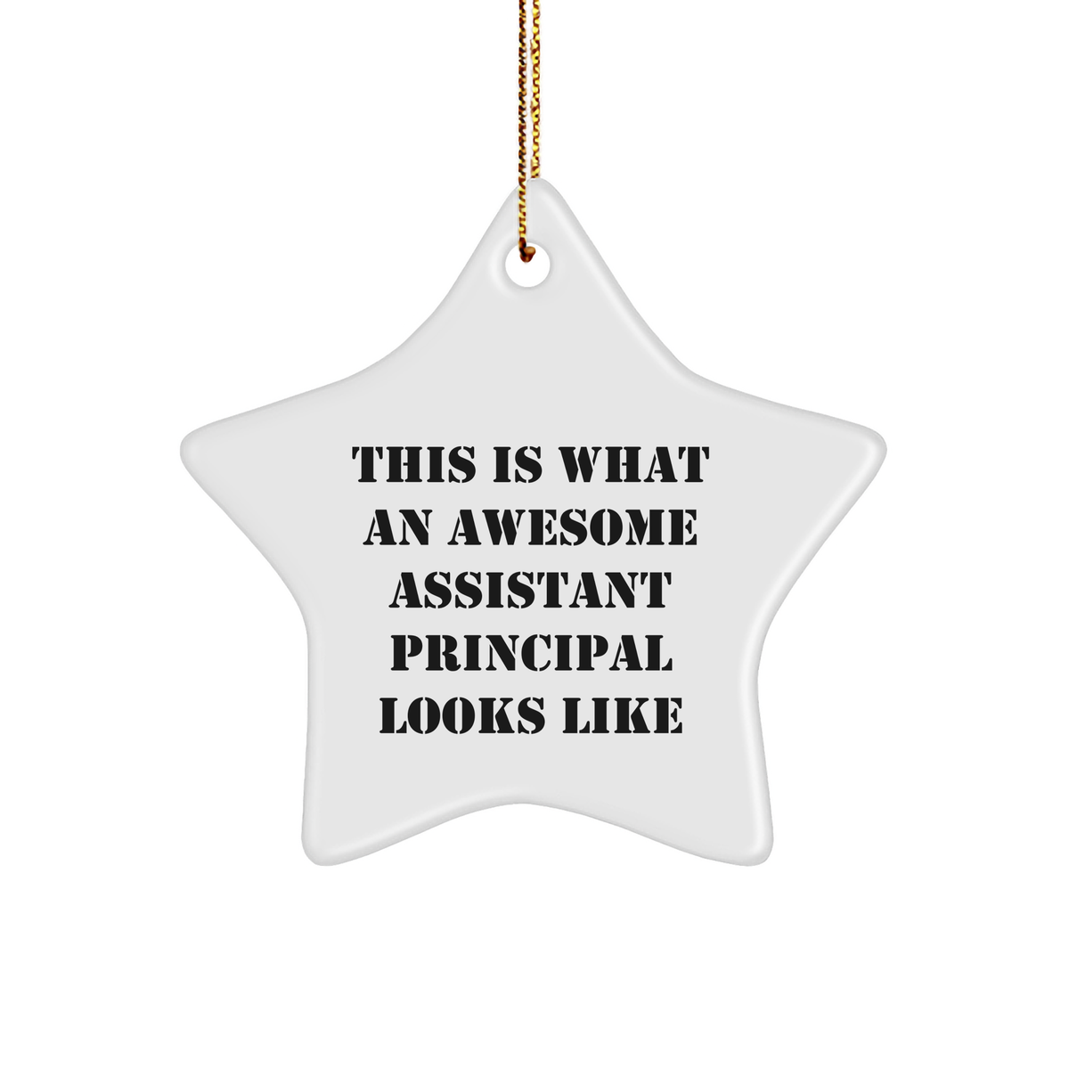 Funny Assistant Principal Gifts from Friends - Star Ornament This Is What An Awesome Assistant Principal Looks Like - Christmas Unique Gifts for Assistant Principal - Image 1