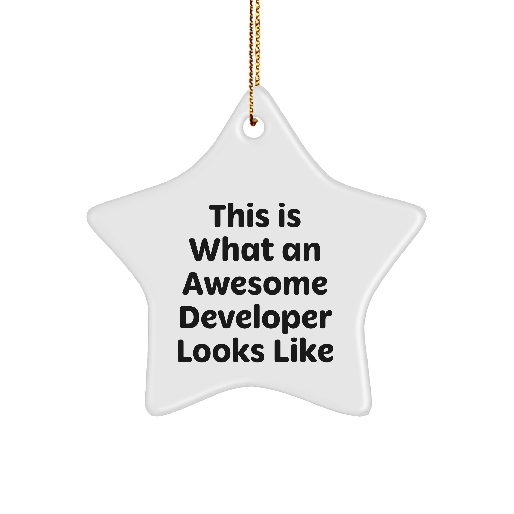 Funny Developer Gifts, This Is What An Awesome Developer Looks Like Star Ornament, Gifts for Developers from Friends, Christmas Unique Presents - Image 1