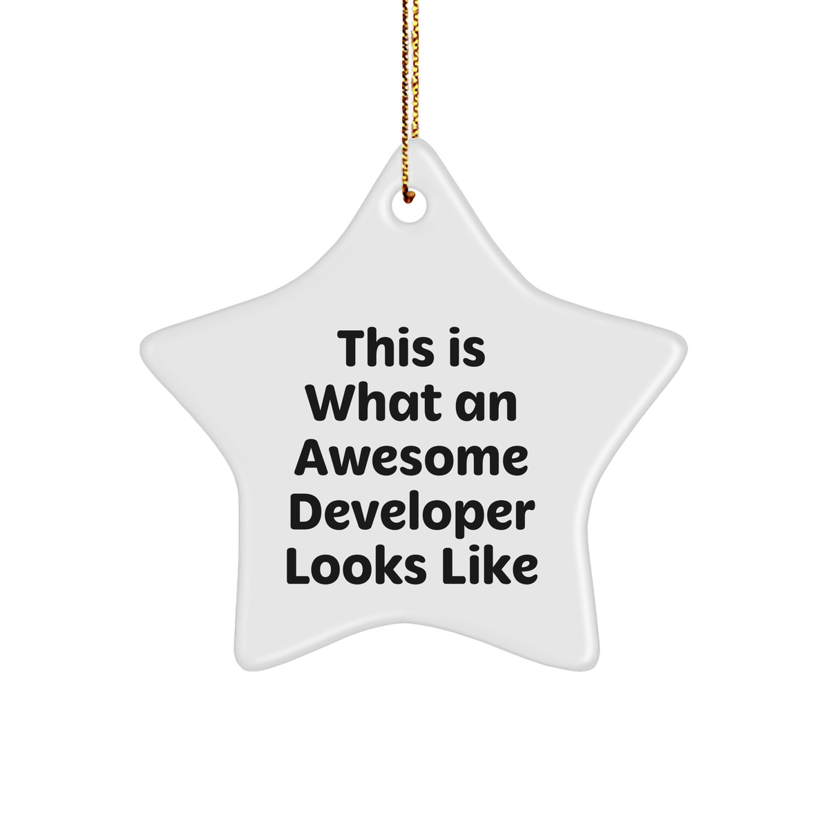 Funny Developer Gifts, This Is What An Awesome Developer Looks Like Star Ornament, Gifts for Developers from Friends, Christmas Unique Presents - Image 1