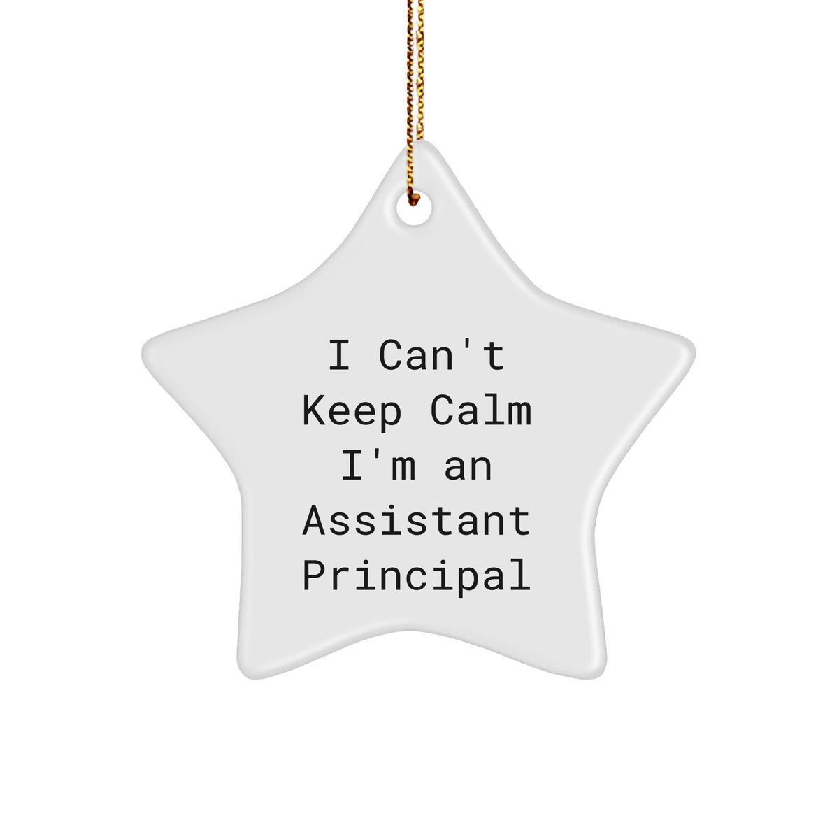 Funny Assistant Principal Gifts, 'I Can't Keep Calm I'm An Assistant Principal' Star Ornament, Gifts from Family to Assistant Principal, for Christmas - Image 1