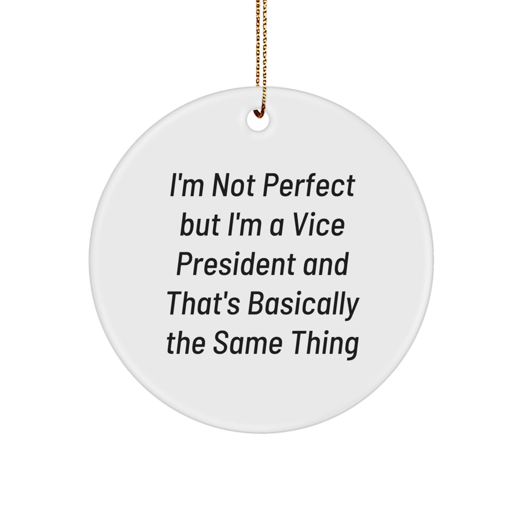 Vice President Gifts from Friends, Funny Circle Ornament for Christmas Unique Gifts - Image 1