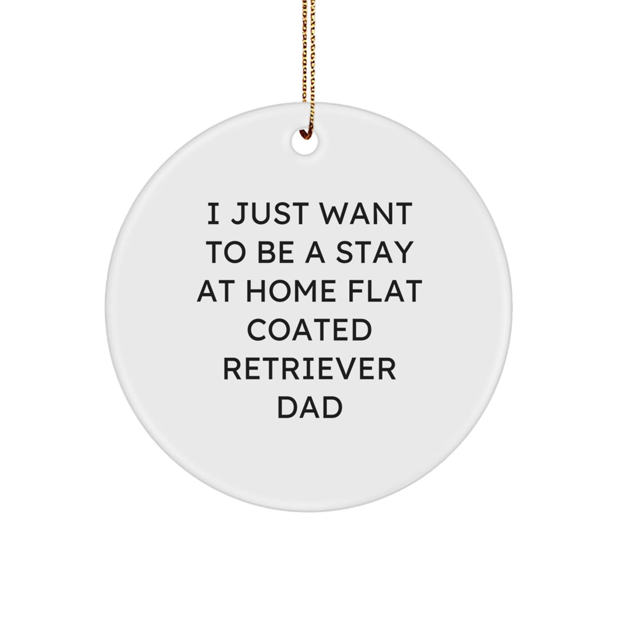 Funny Flat Coated Retriever Dog Dad Gifts for Men from Family - I Just Want Christmas Unique - Image 1