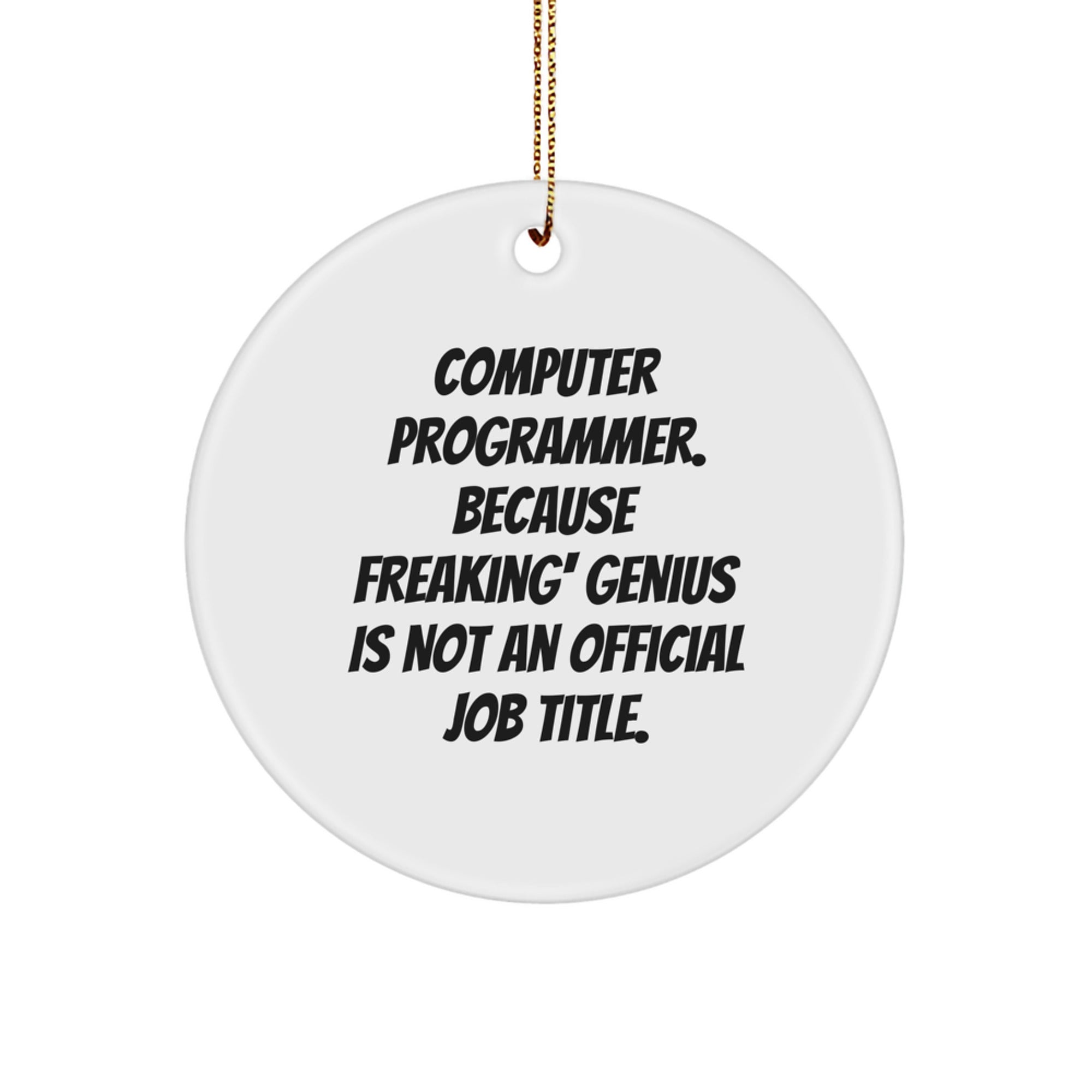 Funny Computer Programmer Gifts from Friends, Unique Circle Ornament Inspirational Quote for Men or Women Christmas Unique Gifts - Image 1