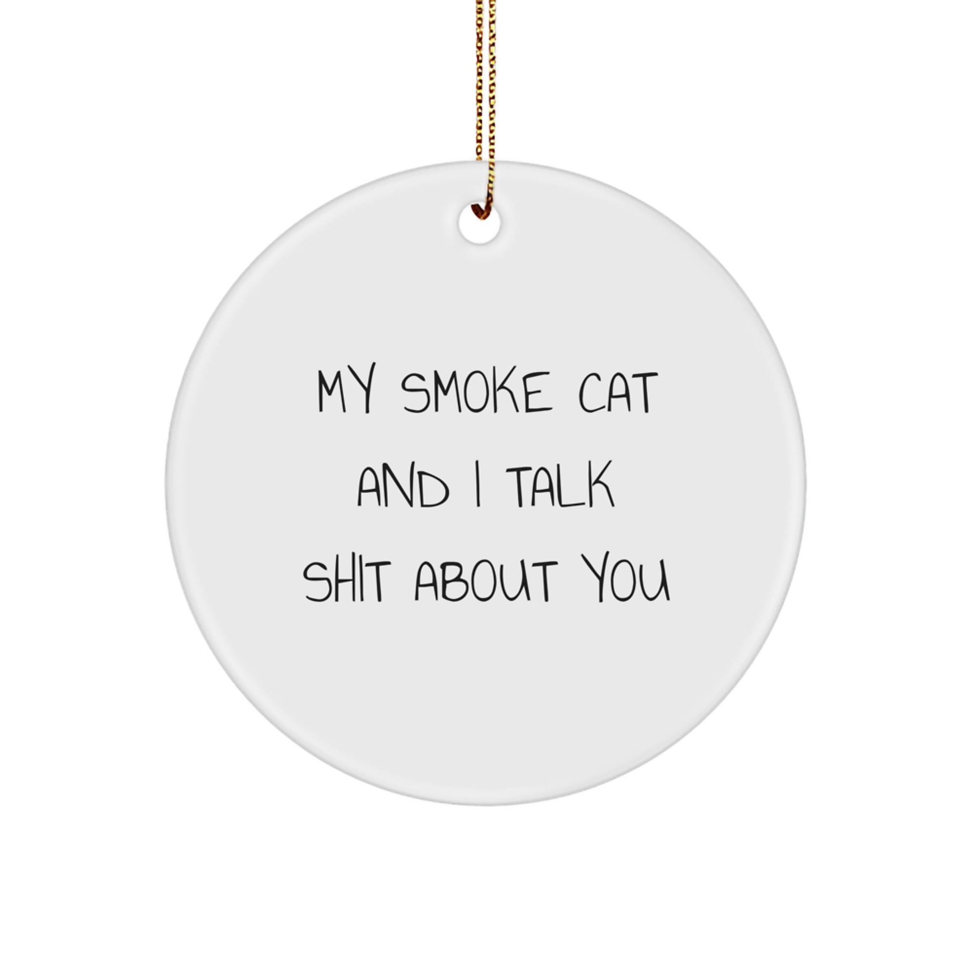Funny Smoke Cat Gifts for Men, Friends, and Family - Circle Ornament with My Smoke Cat And I Talk Shit About You Quote - Image 1