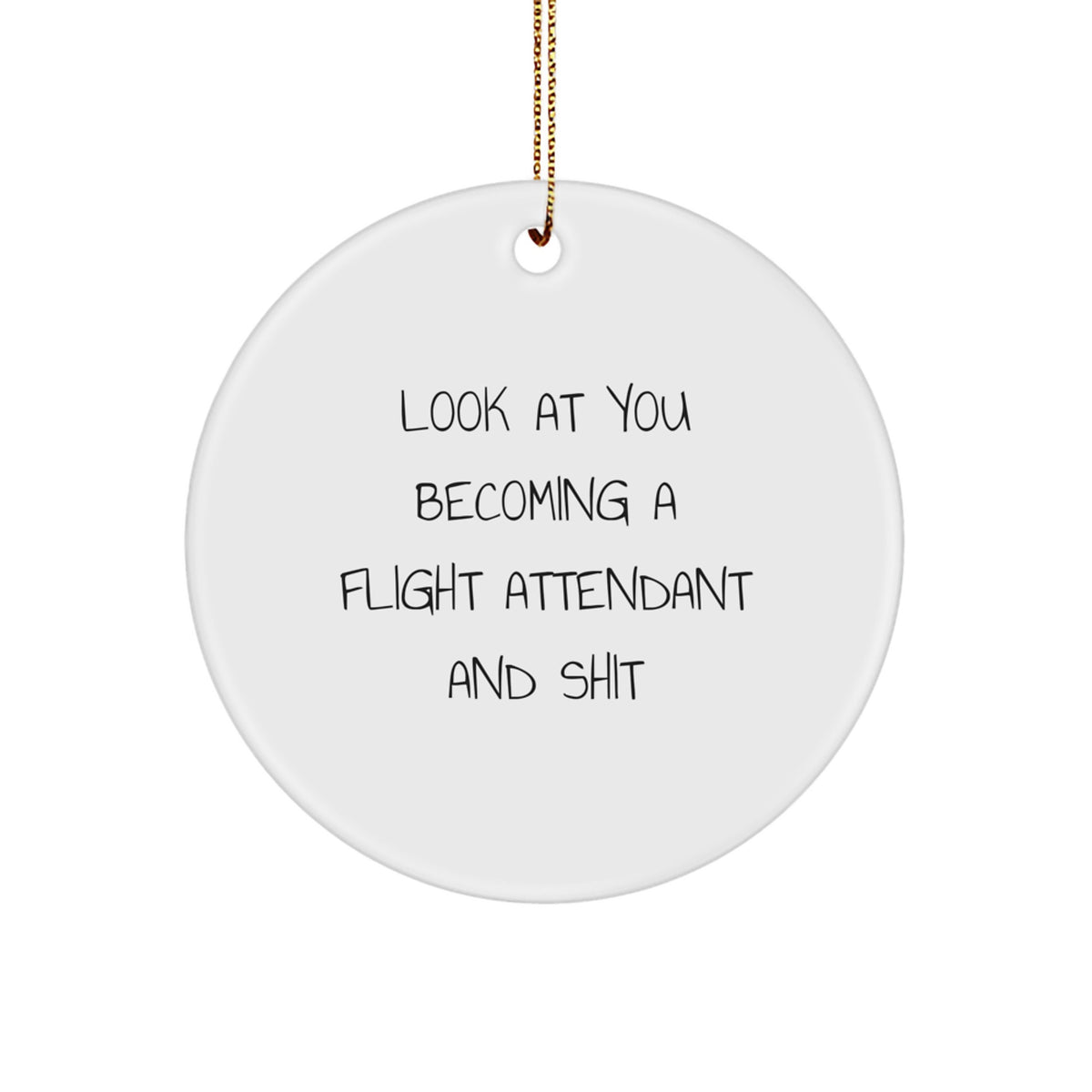 Funny Flight Attendant Circle Ornaments Gifts from Friends, Coworkers to Flight Attendant, Men, Women for Christmas Decoration - Image 1