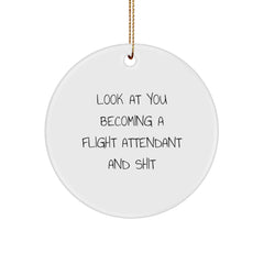 Funny Flight Attendant Circle Ornaments Gifts from Friends, Coworkers to Flight Attendant, Men, Women for Christmas Decoration - Image 1