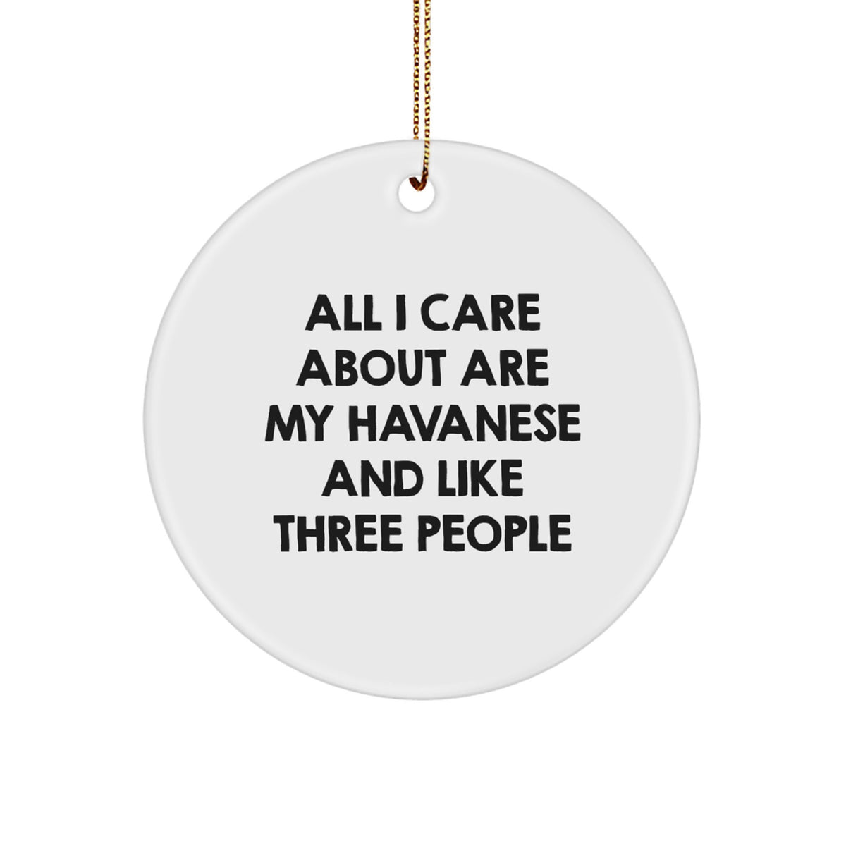 Funny Havanese Dog Mom Gifts from Family for Christmas Havanese Dog Lover - Image 1
