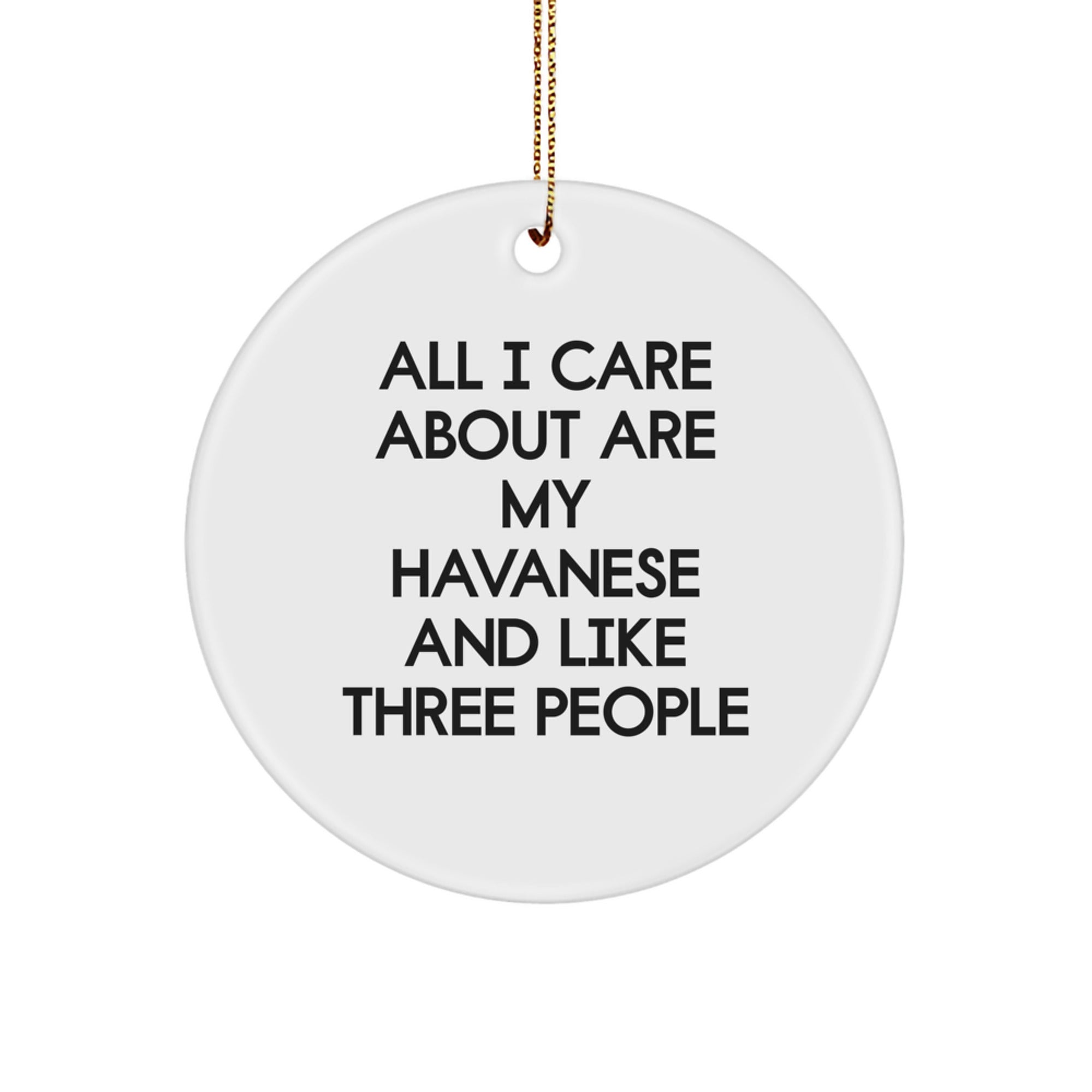 Havanese Dog Lover Gifts from Friends for Christmas Unique Ornaments, Funny Quote Circle Ornament for Women, Men, Family, Havanese Dog Owners - Image 1