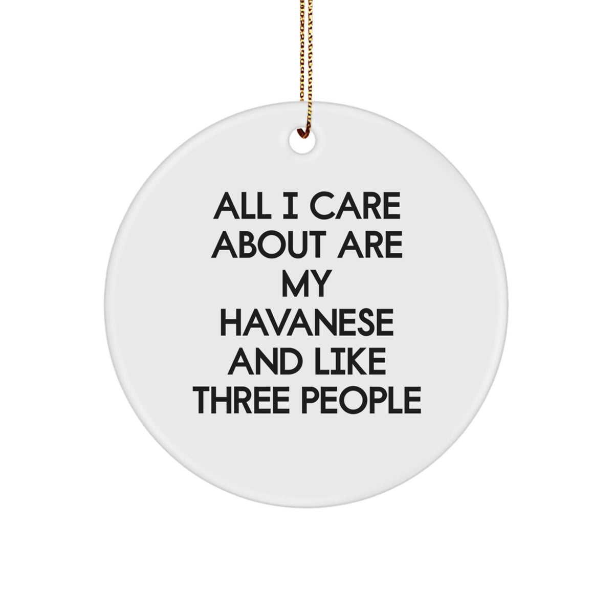 Havanese Dog Lover Gifts from Friends for Christmas Unique Ornaments, Funny Quote Circle Ornament for Women, Men, Family, Havanese Dog Owners - Image 1