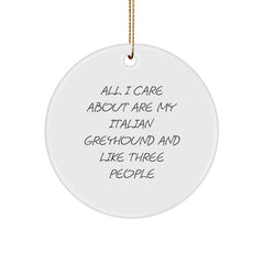 Funny Italian Greyhound Dog Christmas Unique Gifts from Friends for Italian Greyhound Lovers Circle Ornament - Image 1