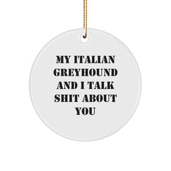Funny Italian Greyhound Dog Gifts from Friends for Christmas - 'My Italian Greyhound And I Talk Shit About You' Circle Ornament - Image 1