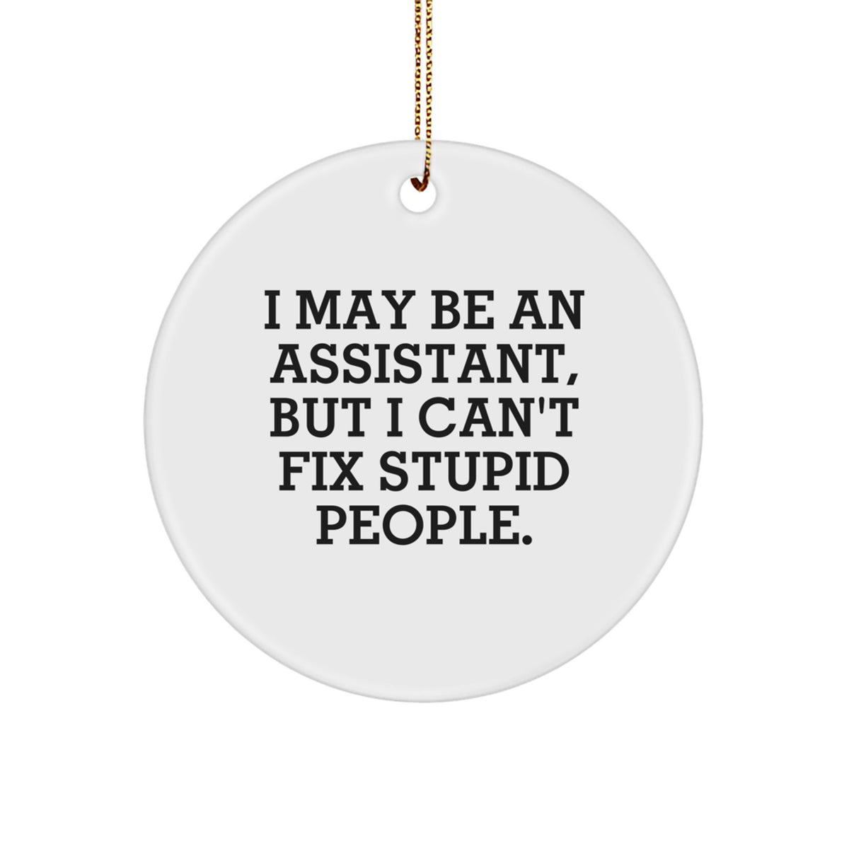 Funny Assistant Gifts from Friends for Men Women Coworkers - 'I May Be An Assistant, But I Can't Fix Stupid People.' Circle Ornament - Image 1