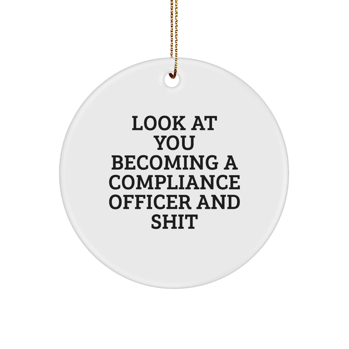 Funny Compliance Officer Gifts for Men - Circle Ornament from Friends and Family - Christmas Unique Presents for Compliance Officer Professionals - Image 1