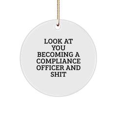 Funny Compliance Officer Gifts for Men - Circle Ornament from Friends and Family - Christmas Unique Presents for Compliance Officer Professionals - Image 1
