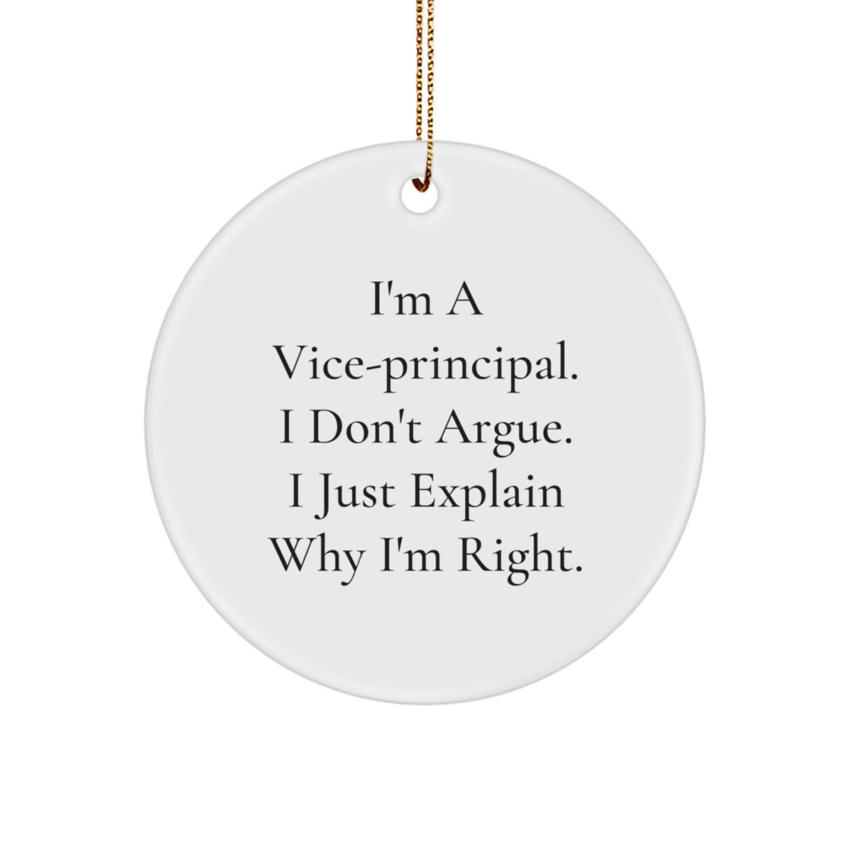 Funny Vice-principal Gifts from Friends for Christmas Unique Circle Ornament, Vice-principal Quote, Office Decor, Vice-principal Christmas Unique Gifts, Funny Circle Ornament - Image 1
