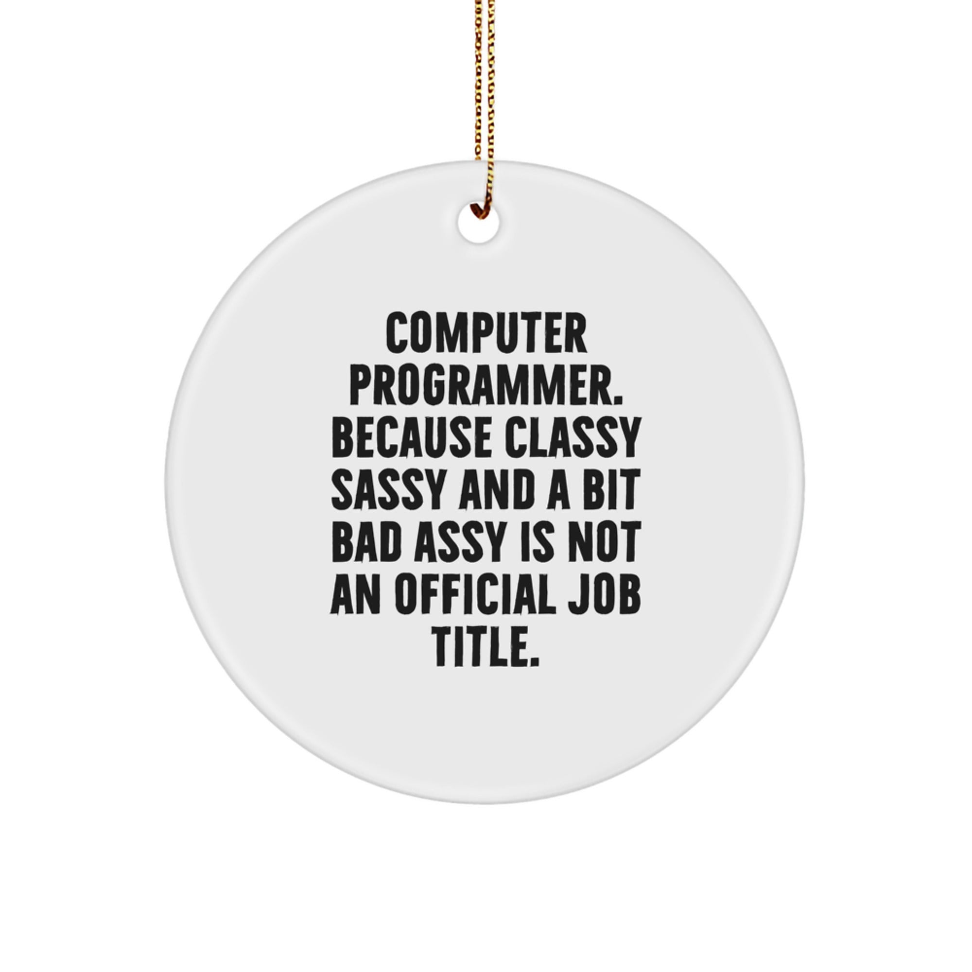 Funny Computer Programmer Circle Ornament, Gifts for Men, Computer Programmer Gifts, Christmas Unique Gifts from Friends, Humorous Quote - Image 1