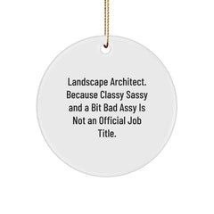 Funny Landscape Architect Gifts - Gifts from Friends for Men - Quote: Classy Sassy And A Bit Fearlessy Is Not An Official Job Title, Unique Christmas Ornaments for Home - Image 1