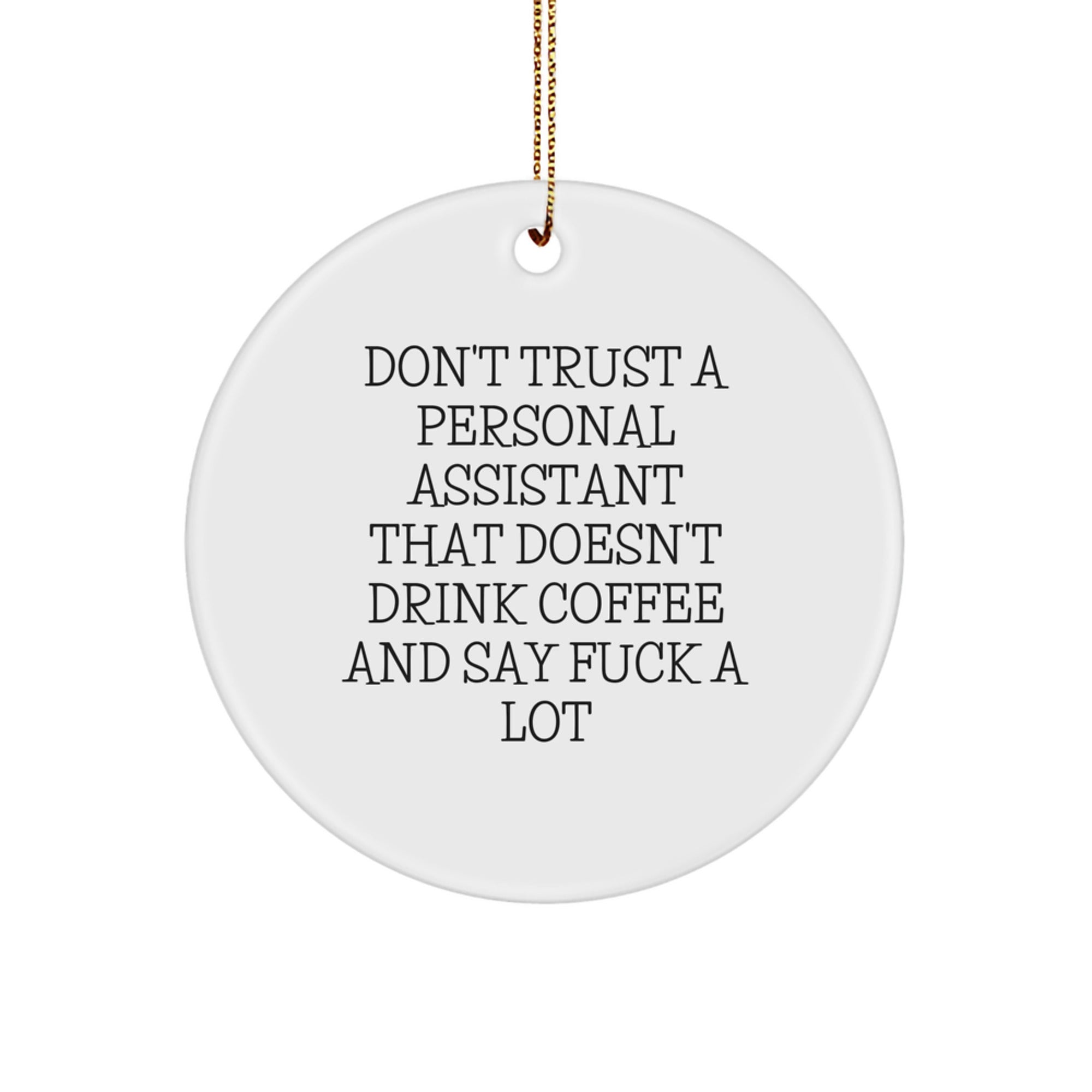 Funny Personal Assistant Gifts from Friends, Christmas Unique Circle Ornaments for Personal Assistants, Don't Trust a Personal Assistant - Image 1