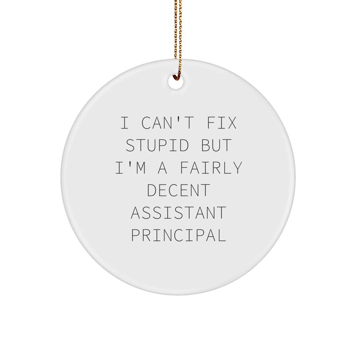 Funny Assistant Principal Gifts from Friends for Christmas Circle Ornament I Can't Fix Stupid But I'm A Fairly Decent Assistant Principal - Image 1