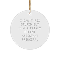 Funny Assistant Principal Gifts from Friends for Christmas Circle Ornament I Can't Fix Stupid But I'm A Fairly Decent Assistant Principal - Image 1