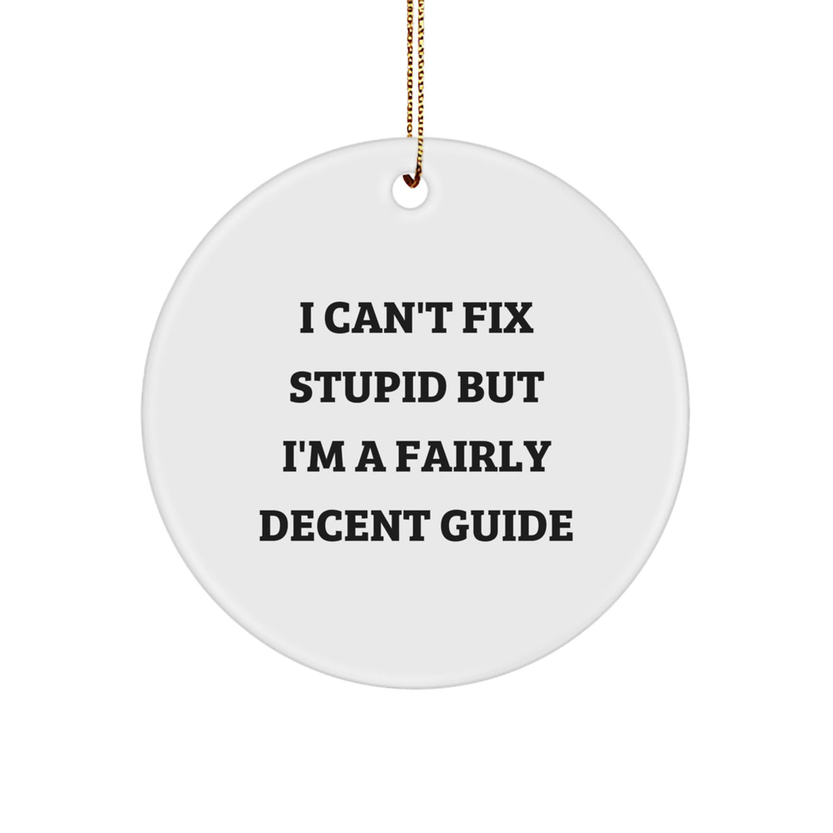 Funny Guide Gifts for Men, Women, Friends, or Family - 'I Can't Fix Stupid' Circle Ornament, Unique Christmas Decorations - Image 1