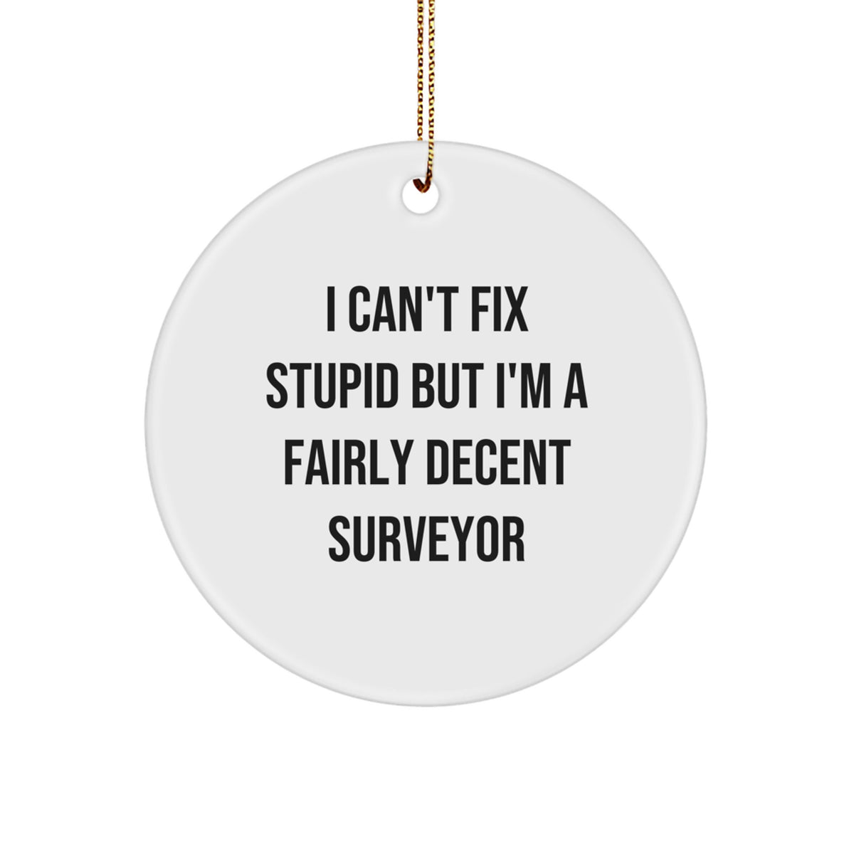 Funny Surveyor Gifts from Friends: 'I Can't Fix Stupid But I'm A Fairly Decent Surveyor' Circle Ornament for Christmas - Image 1
