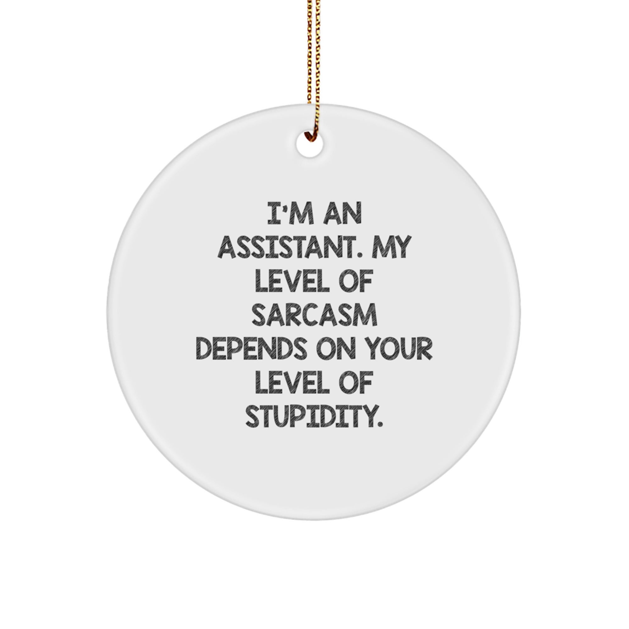 Funny Assistant Gifts from Friends for Christmas - 'I'm An Assistant...' Circle Ornament - Image 1