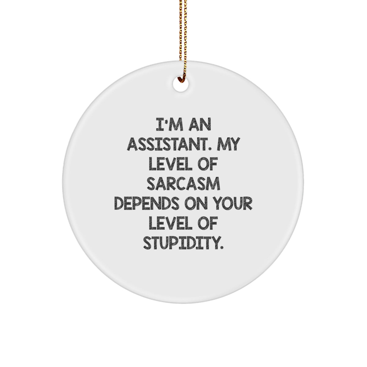 Funny Assistant Gifts from Friends for Christmas - 'I'm An Assistant...' Circle Ornament - Image 1