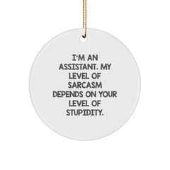 Funny Assistant Gifts from Friends for Christmas - 'I'm An Assistant...' Circle Ornament - Image 1