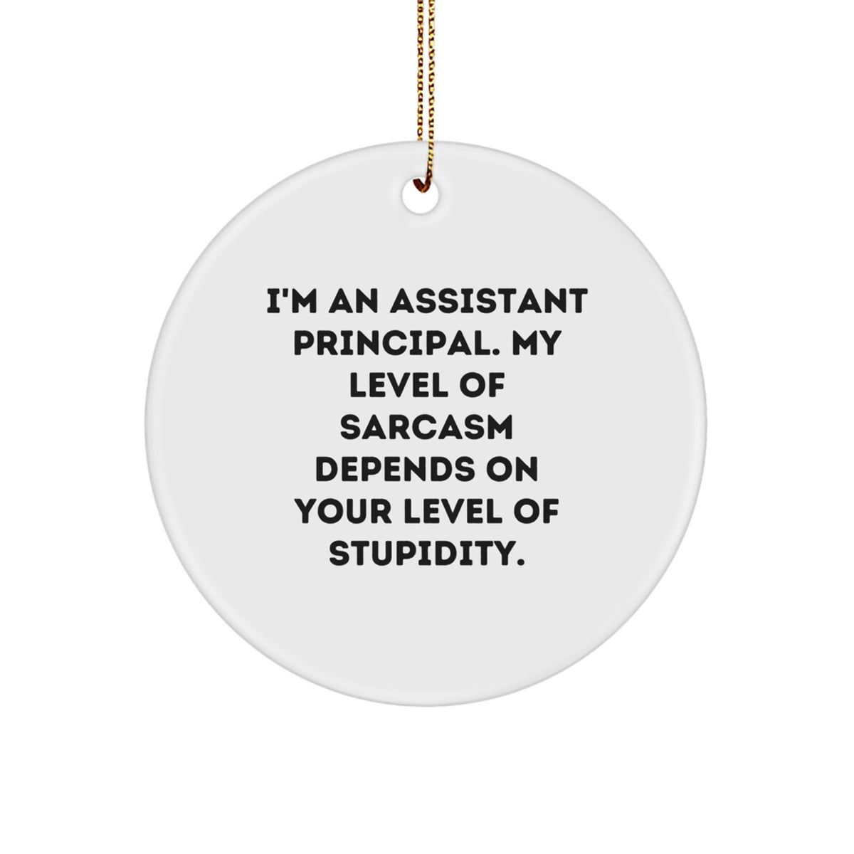 Funny Assistant Principal Gifts, Sarcasm Circle Ornament, Gifts from Friends for Assistant Principal, Perfect Christmas Unique Gifts for Work - Image 1