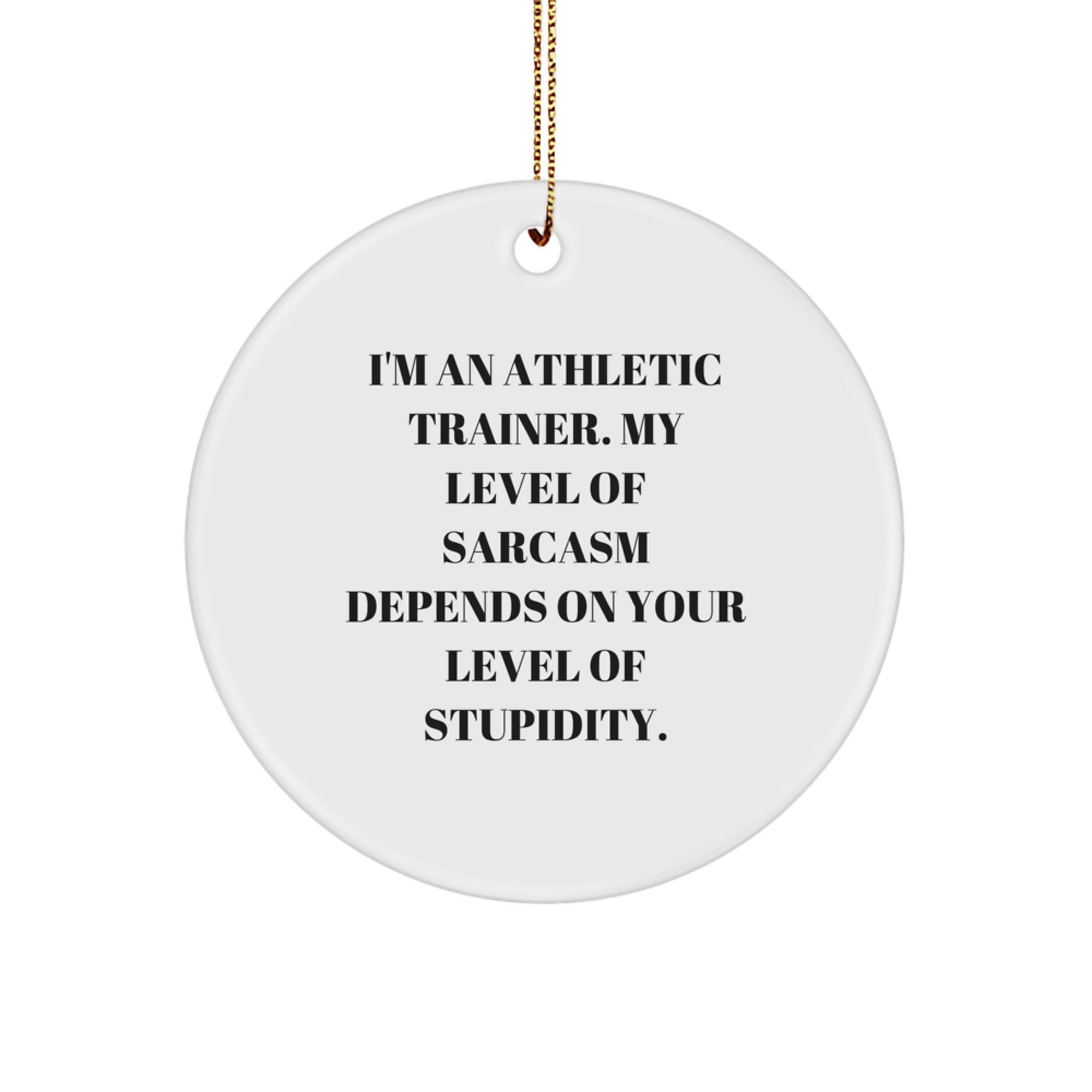 Funny Athletic Trainer Gifts, Sarcasm Circle Ornament for Christmas, Gifts from Family to Friends, Gifts for Athletic Trainer, Inspirational Quote Ornament - Image 1