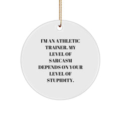 Funny Athletic Trainer Gifts, Sarcasm Circle Ornament for Christmas, Gifts from Family to Friends, Gifts for Athletic Trainer, Inspirational Quote Ornament - Image 1