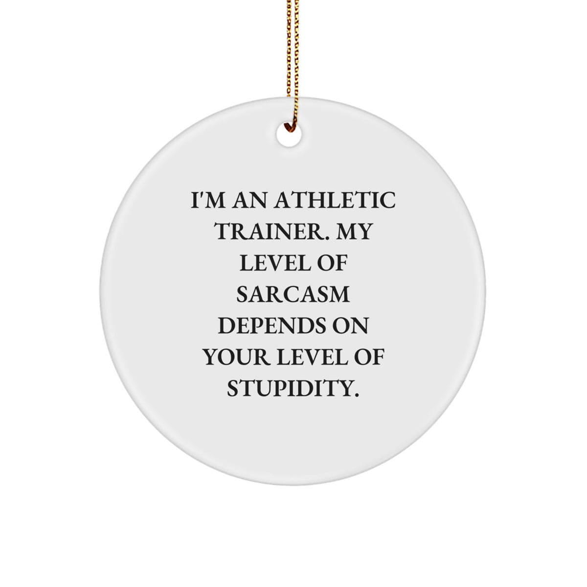 Funny Athletic Trainer Gifts, 'I'm An Athletic Trainer...' Circle Ornament, Christmas Unique Presents from Friends, Family, or Coworkers for Him or Her - Image 1