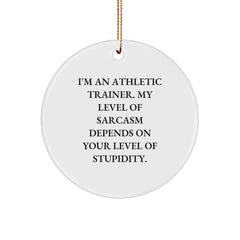 Funny Athletic Trainer Gifts, 'I'm An Athletic Trainer...' Circle Ornament, Christmas Unique Presents from Friends, Family, or Coworkers for Him or Her - Image 1