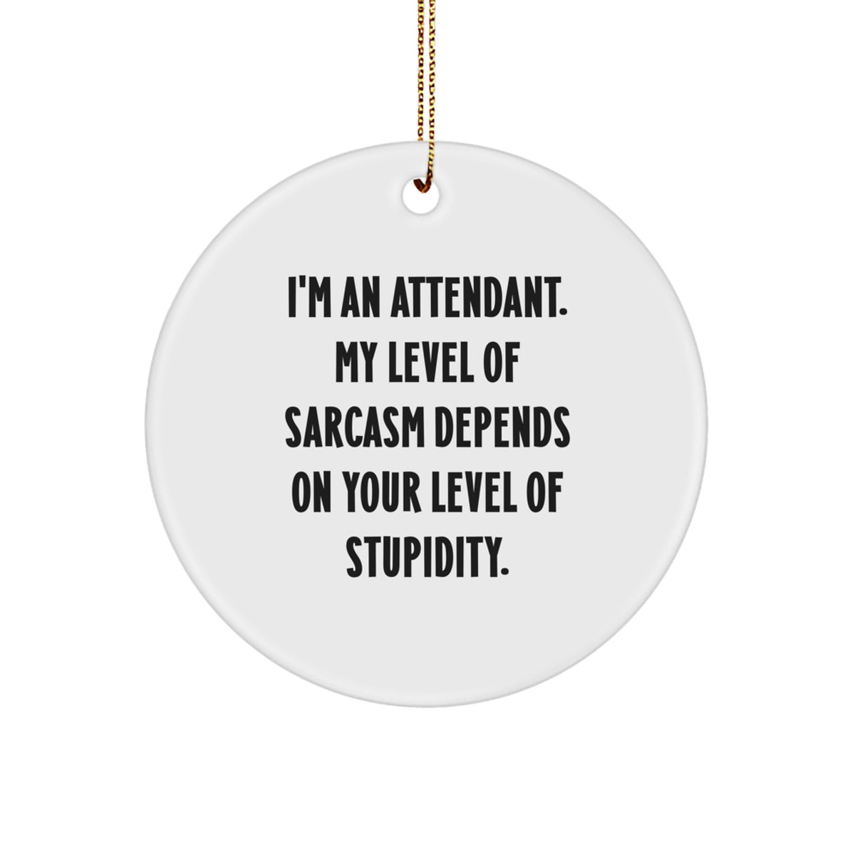 Funny Attendant Gifts, Circle Ornament with Sarcasm Quote, 'Gifts from Family to Attendant' for Christmas - Image 1