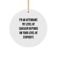 Funny Attendant Gifts, Circle Ornament with Sarcasm Quote, 'Gifts from Family to Attendant' for Christmas - Image 1