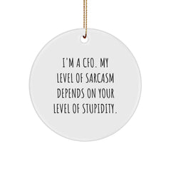 CFO Gifts from Friends - Funny Circle Ornament for Men, Women or Coworkers - I'm a CFO, My Level of Sarcasm Depends on Your Level of Stupidity - White Circle Ornament for Christmas - Image 1