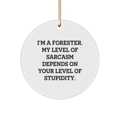 Funny Forester Gifts from Friends for Him - Circle Ornament with I'm A Forester. My Level Of Sarcasm Depends On Your Level Of Stupidity. - Unique Christmas Ornament - Image 1