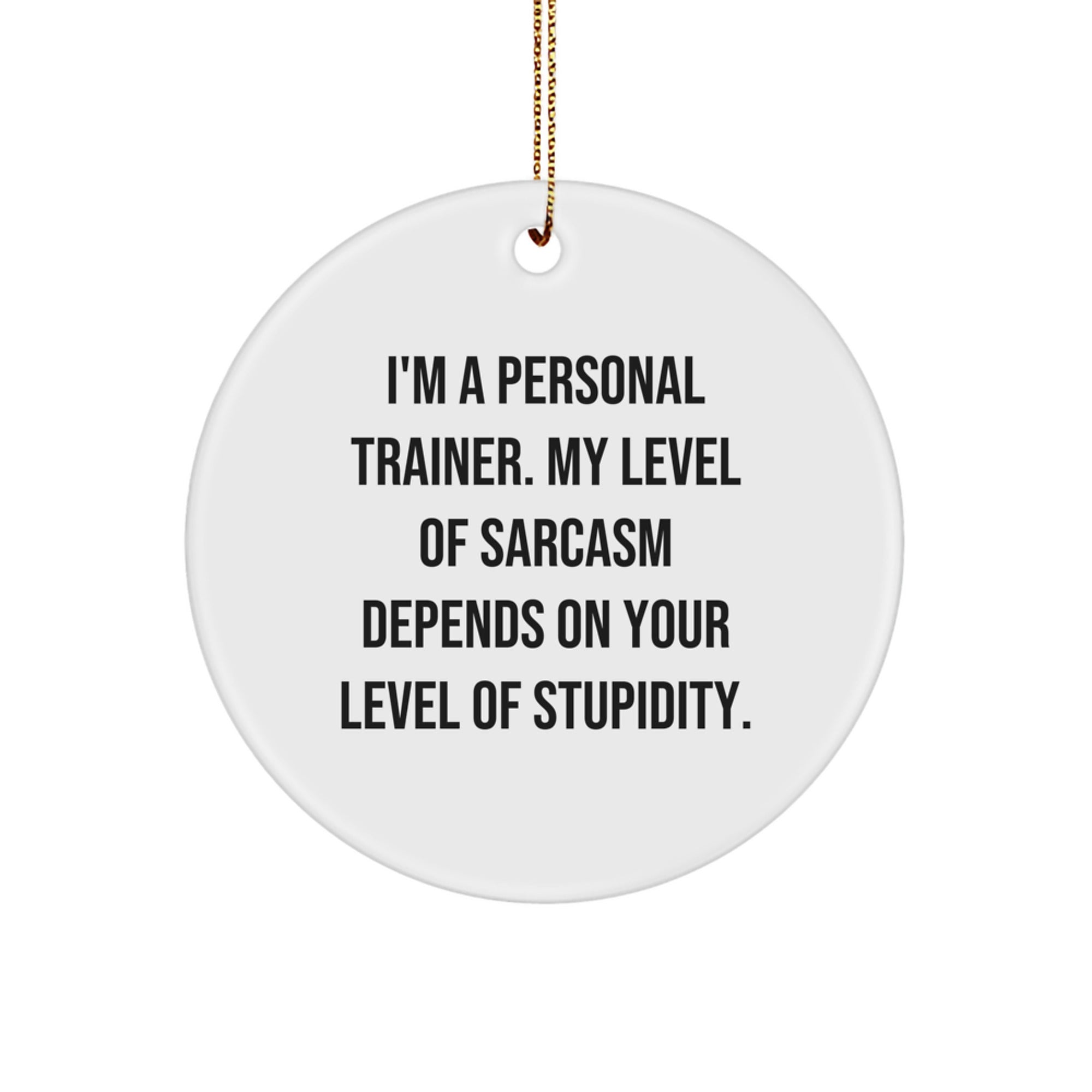 Personal Trainer Gifts from Friends for Christmas - Sarcasm Level Ornament, Funny Quote - Image 1