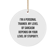 Personal Trainer Gifts from Friends for Christmas - Sarcasm Level Ornament, Funny Quote - Image 1