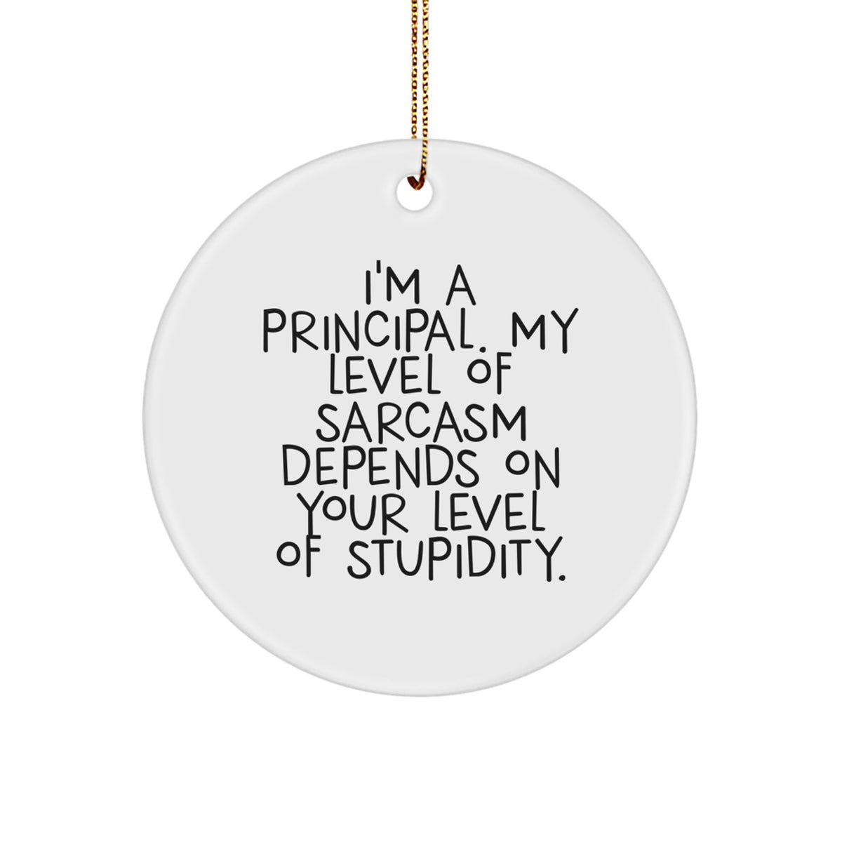 Christmas Unique Gifts from Men for Principals - Funny Principal Gifts - Sarcastic 'I'm A Principal. My Level Of Sarcasm Depends On Your Level Of Stupidity.' Circle Ornament - Image 1