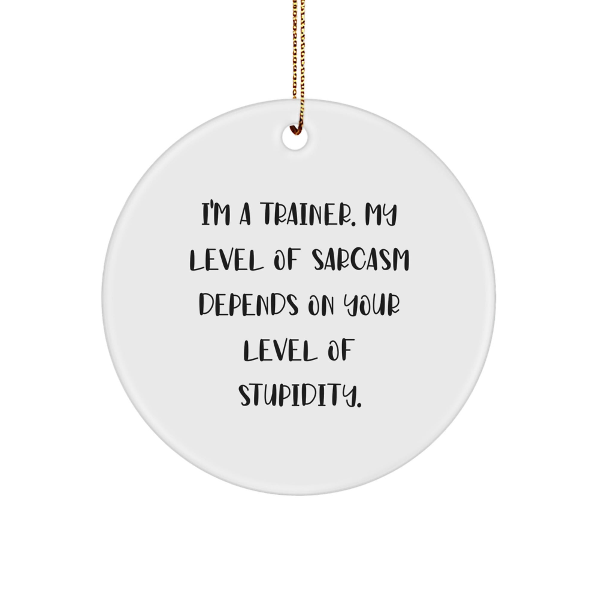 Funny Trainer Gifts for Trainers, Circle Ornament with Sarcasm Quote, Christmas Unique Gifts from Friends to Family - Image 1