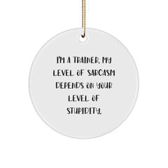 Funny Trainer Gifts for Trainers, Circle Ornament with Sarcasm Quote, Christmas Unique Gifts from Friends to Family - Image 1