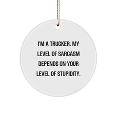 Funny Trucker Gifts from Friends - I'm A Trucker Circle Ornament for Christmas - Trucker Humor - Image 1