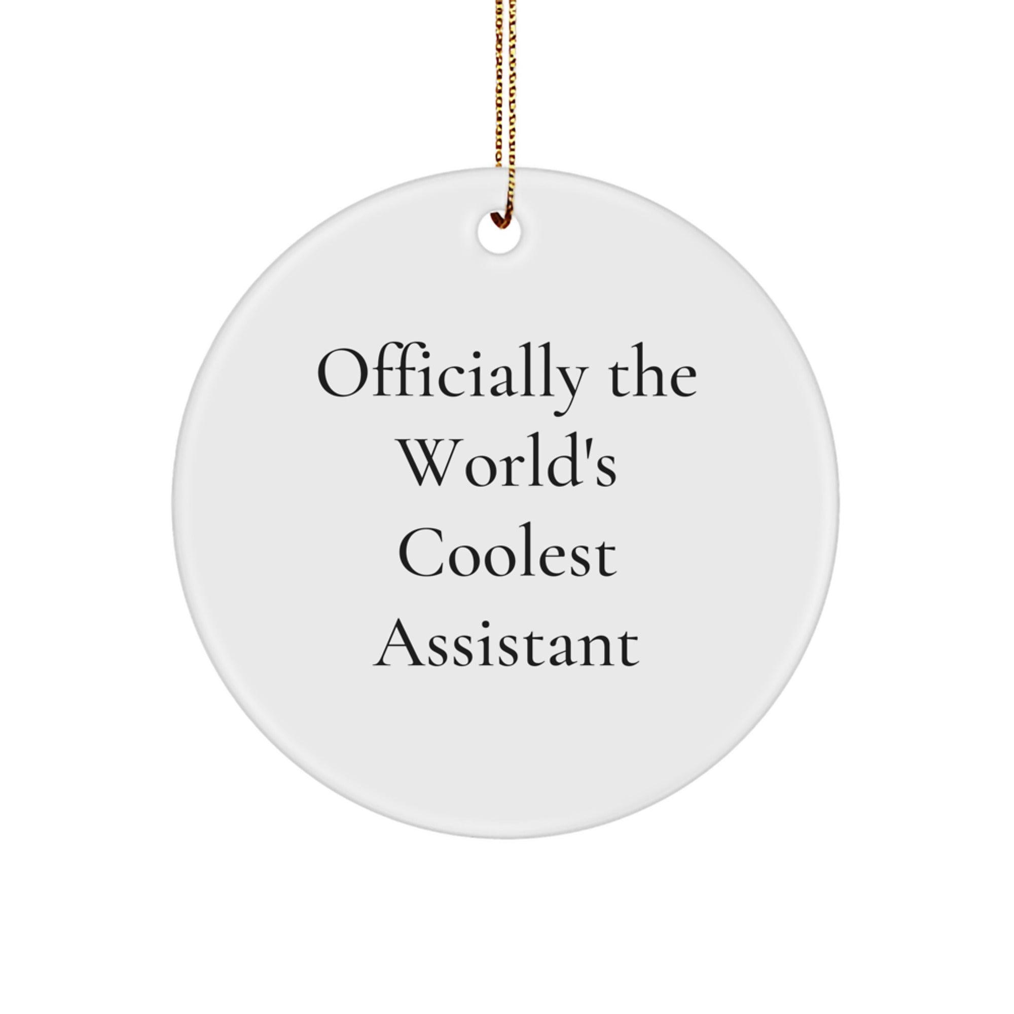Funny Assistant Gifts for Men, Officially the World's Coolest Assistant Circle Ornament from Family - Image 1