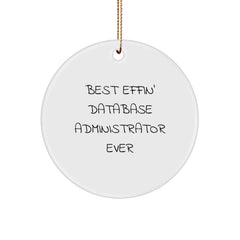Funny Database Administrator Gifts, 'Best Effin' Ever' Circle Ornament for Men, Women, or Friends, Christmas Unique Gifts from Family - Image 1